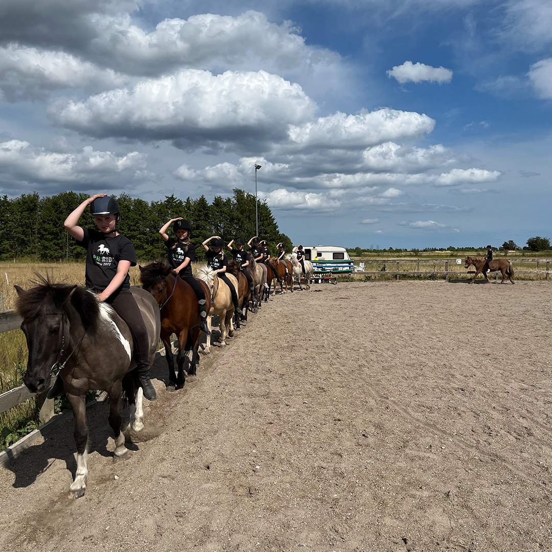 Ridelejr For Børn På Amager På Rolige Islandske Heste | CPH:RIDE